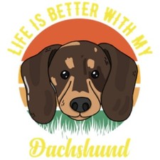 6 Pack Dachshund Dogs