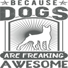 6 Pack Dogs Are Freaking