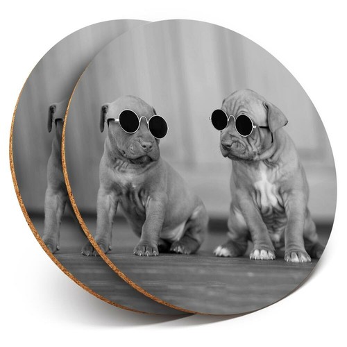Coasters cute puppies - x,