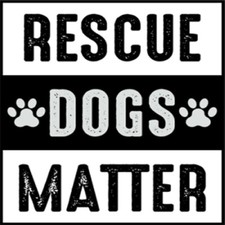 6 Pack Rescue Dogs Matter