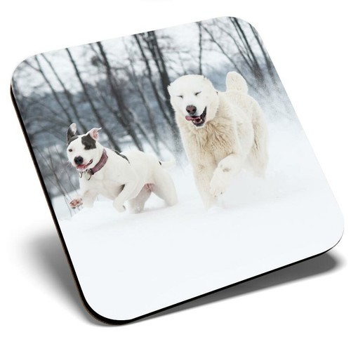 Square single coaster - square,