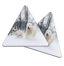 2x Triangle Coaster - Adorable