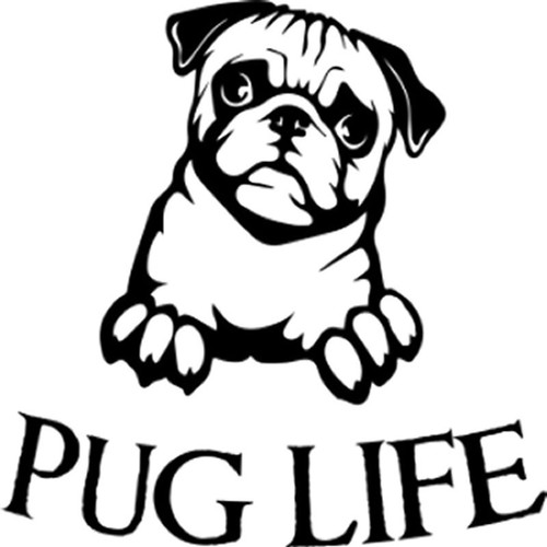 Pack pug life - pug, aluminium