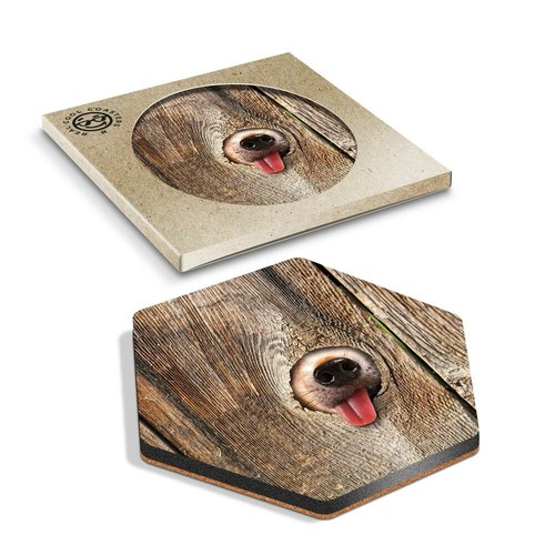 Hexagon coaster dog - x,